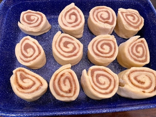 cinnamon rolls before they have risen